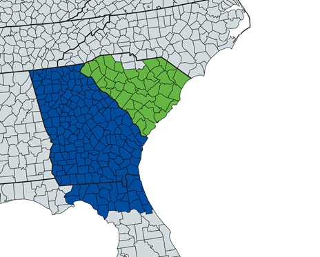 Georgia, Jacksonville, South Carolina, merge